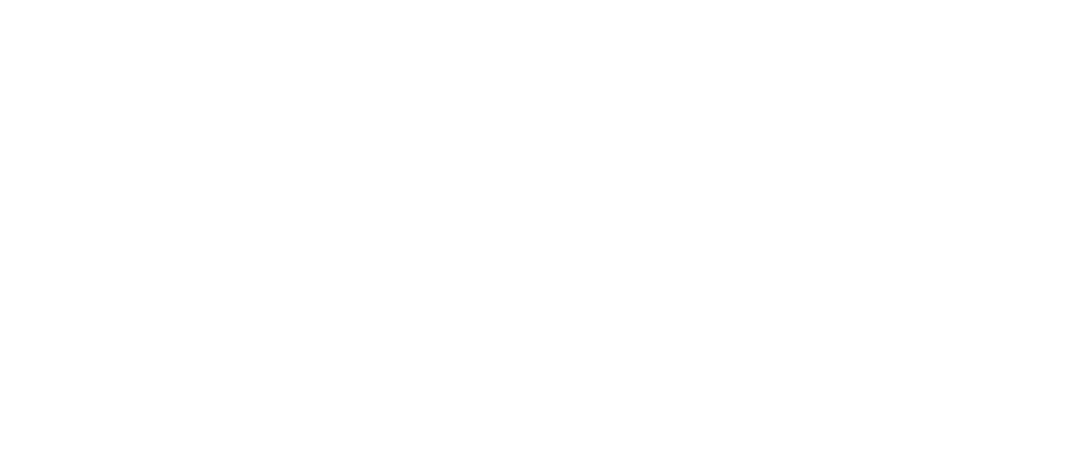 SheConnects Digital Accelerator India